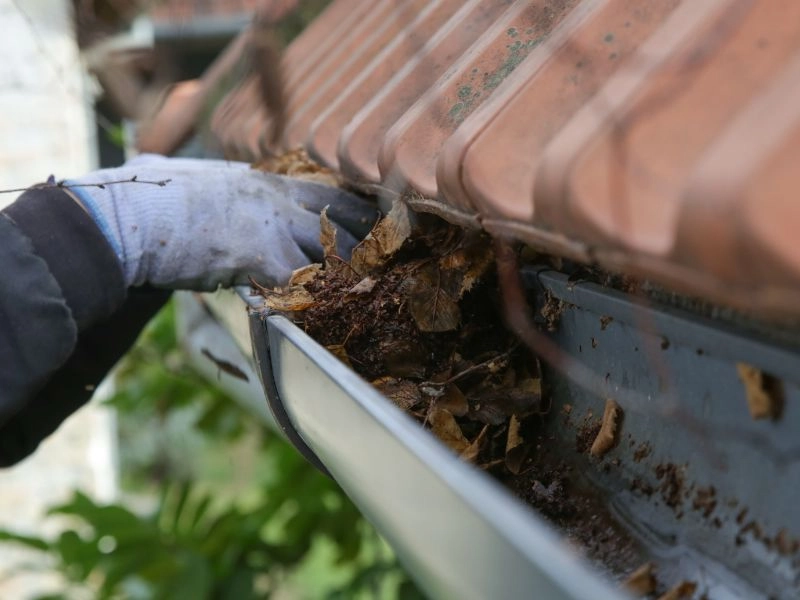 nettoyage gouttières